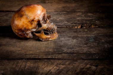Eski ahşap arka planda insan kafatası.