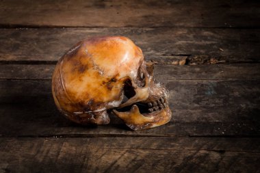 Eski ahşap arka planda insan kafatası.