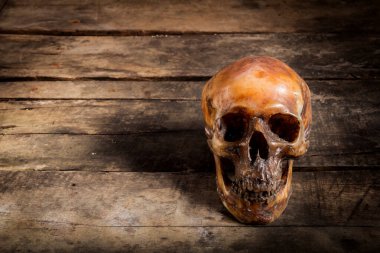 Eski ahşap arka planda insan kafatası.