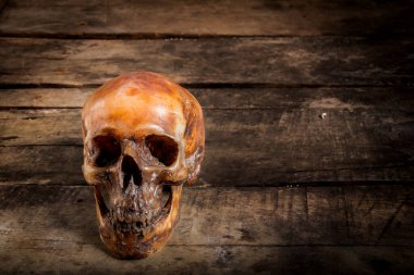 Eski ahşap arka planda insan kafatası.