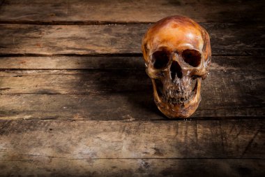 Eski ahşap arka planda insan kafatası.