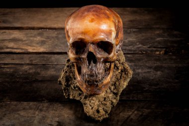Eski ahşap arka planda insan kafatası.