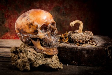 Eski ahşap arka planda insan kafatası.