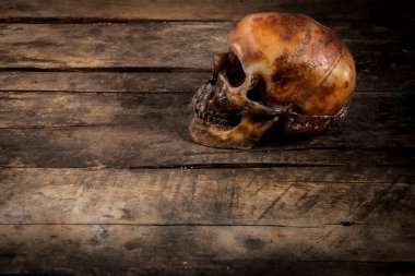 Eski ahşap arka planda insan kafatası.