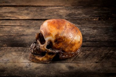 Eski ahşap arka planda insan kafatası.