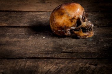 Eski ahşap arka planda insan kafatası.