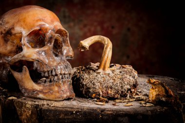 Eski ahşap arka planda insan kafatası.