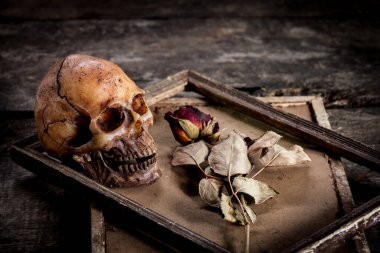 Eski ahşap arka planda bir resim çerçevesinde kurumuş insan kafatası ve güllerle durgun bir hayat.