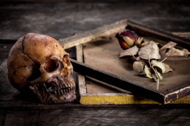 Eski ahşap arka planda bir resim çerçevesinde kurumuş insan kafatası ve güllerle durgun bir hayat.