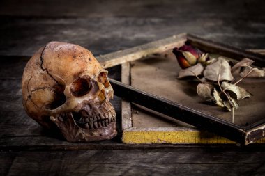 Eski ahşap arka planda bir resim çerçevesinde kurumuş insan kafatası ve güllerle durgun bir hayat.
