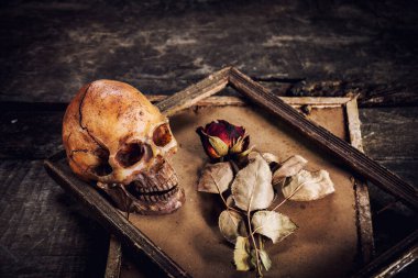 Eski ahşap arka planda bir resim çerçevesinde kurumuş insan kafatası ve güllerle durgun bir hayat.