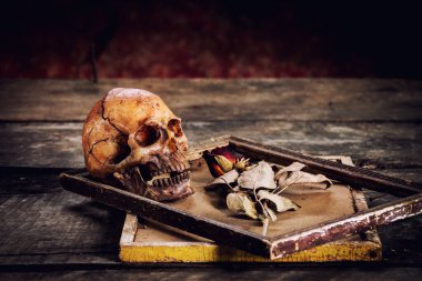 Eski ahşap arka planda bir resim çerçevesinde kurumuş insan kafatası ve güllerle durgun bir hayat.