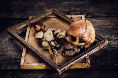 Eski ahşap arka planda bir resim çerçevesinde kurumuş insan kafatası ve güllerle durgun bir hayat.