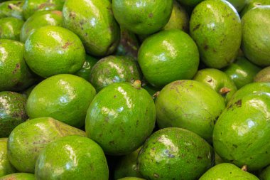 Avokado arka plan. Taze yeşil avokado bir pazarında