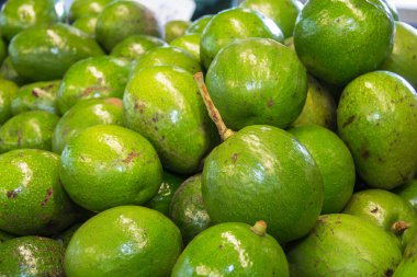 Avokado arka plan. Taze yeşil avokado bir pazarında