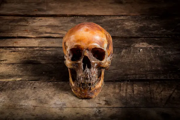 Eski ahşap arka planda insan kafatası.