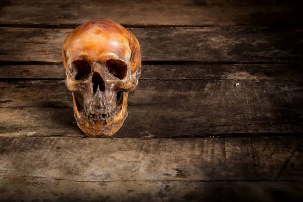 Eski ahşap arka planda insan kafatası.