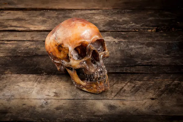 Eski ahşap arka planda insan kafatası.