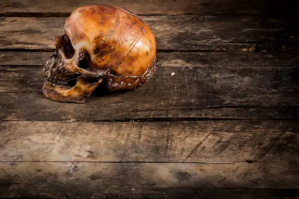 Eski ahşap arka planda insan kafatası.