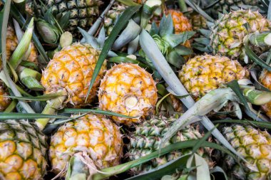 Ananas piyasada yığını