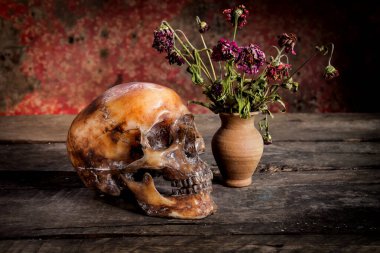 Bir kafatası ve vazo, toprak ile natürmort