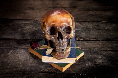 Kurumuş insan kafatası ve güllerle dolu bir hayat ve eski ahşap arka planda bir kitap