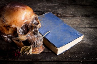 Kurumuş insan kafatası ve güllerle dolu bir hayat ve eski ahşap arka planda bir kitap