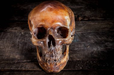 Eski ahşap arka planda insan kafatası.