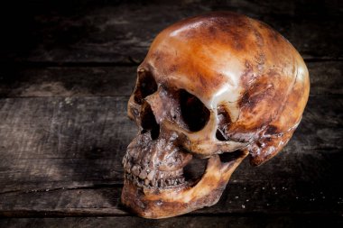 Eski ahşap arka planda insan kafatası.