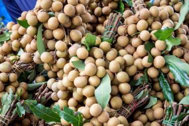 Longan 'ın en sevdiği Thai meyvesi lezzetli ve tatlı