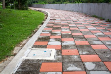 Parktaki yeşil çimenli taş blok patikası.