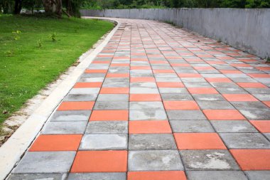 Parktaki yeşil çimenli taş blok patikası.