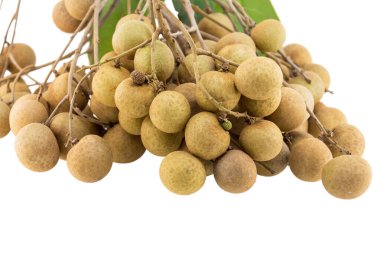 Beyaz bir arka plan üzerinde izole longan