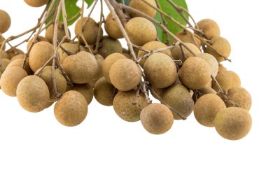 Beyaz bir arka plan üzerinde izole longan
