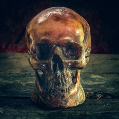 Eski ahşap arka planda insan kafatası.
