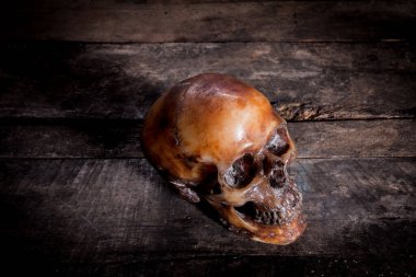 Eski ahşap arka planda insan kafatası.