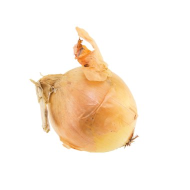 Beyaz arkaplanda soğan izole edildi