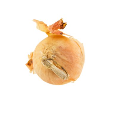 Beyaz arkaplanda soğan izole edildi