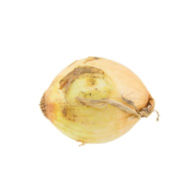 Beyaz arkaplanda soğan izole edildi