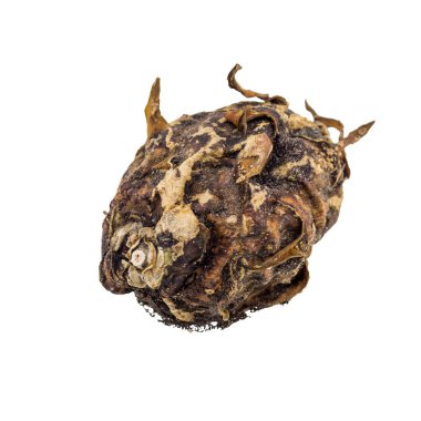 Beyaz arka plan üzerinde izole çürük dragon meyve