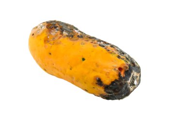 Çürük papaya beyaz arkaplanda izole