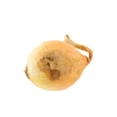 Beyaz arkaplanda soğan izole edildi