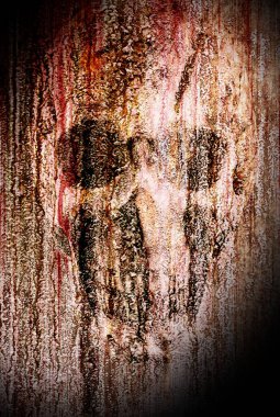 Beton arkaplanda soyut kafatası