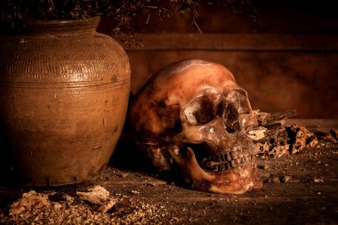 Eski ahşap arka planda insan kafatası, natürmort