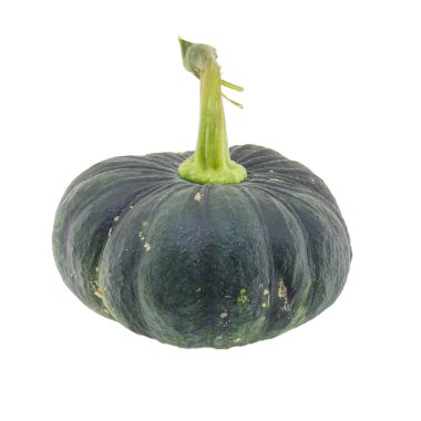 Beyaz arkaplanda kabak izole