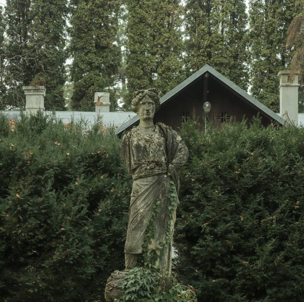 Местная Статуя Найденная Ботаническом Саду Клуж Напока Румыния — стоковое фото