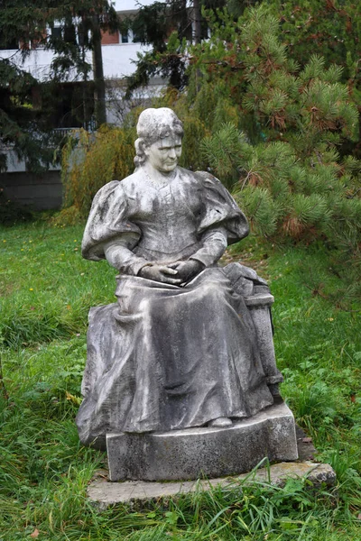 Gran Dama Calata Una Estatua Del Escultor Cluj Kolozsvri Szeszk —  Fotos de Stock