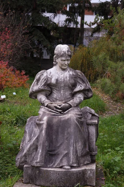 Grande Senhora Calata Uma Estátua Escultor Cluj Kolozsvri Szeszk Ferenc — Fotografia de Stock