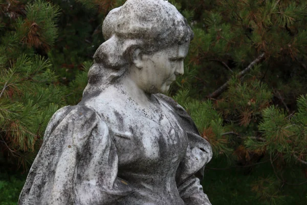 Great Lady Calata Άγαλμα Του Γλύπτη Kolozsvri Szeszk Ferenc Φθινόπωρο — Φωτογραφία Αρχείου