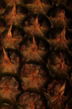 Bir ananasın farklı şekillerinden oluşan arkaplan resmi